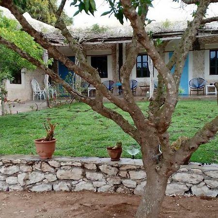 La Maison Essaouira Hotel Екстериор снимка