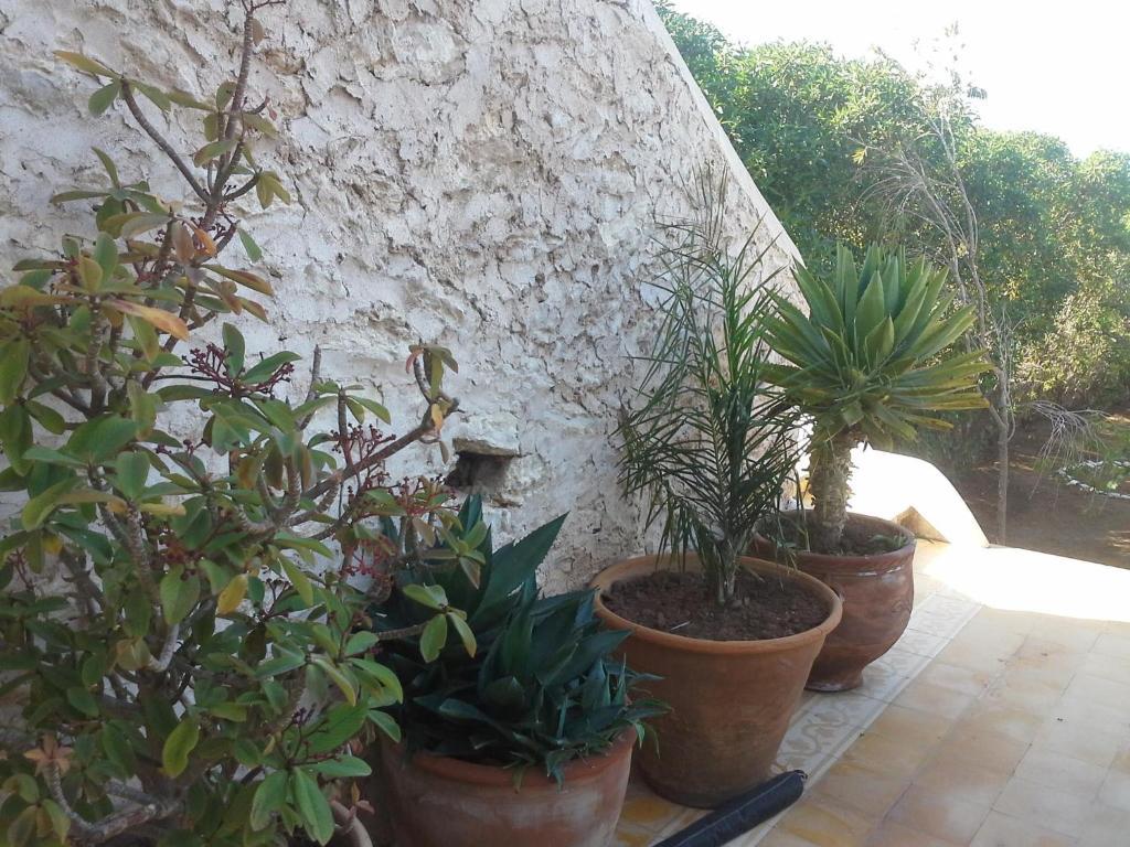La Maison Essaouira Hotel Екстериор снимка