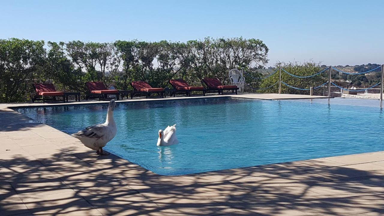 La Maison Essaouira Hotel Екстериор снимка