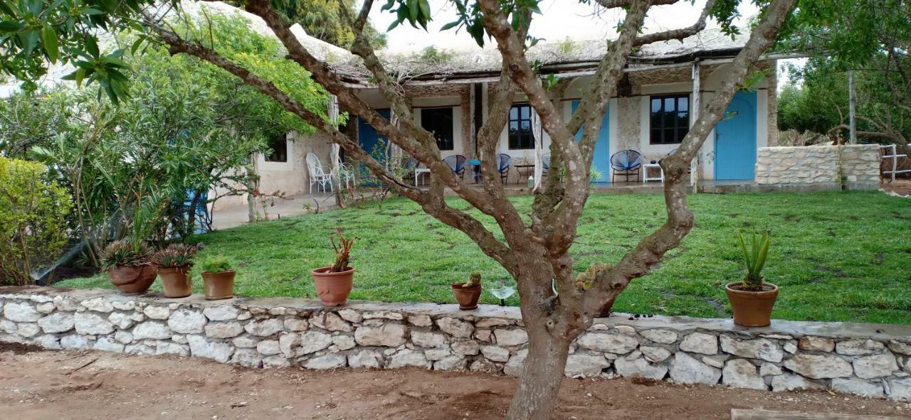 La Maison Essaouira Hotel Екстериор снимка